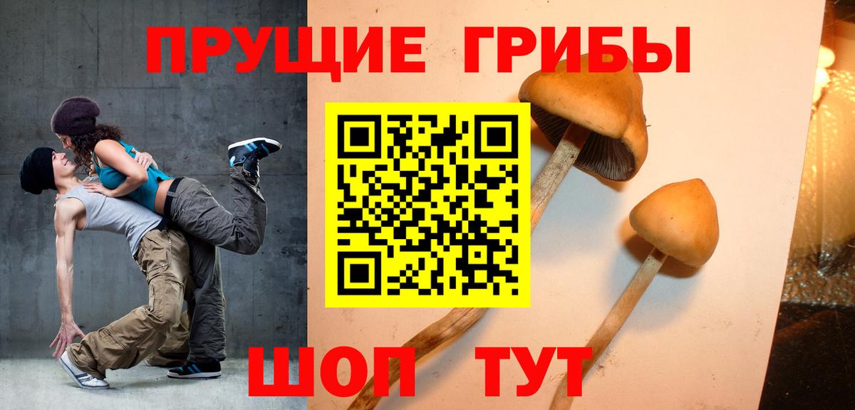 Салехард  Галлюциногенные грибы ЛСД  Вход с VPN 
